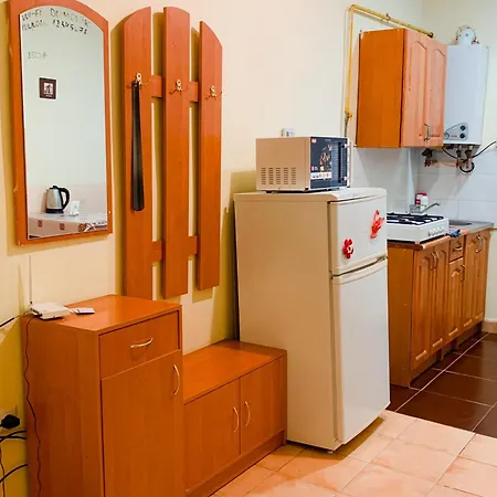 Domovik On Beregovskaya 3 * Mukaçeve