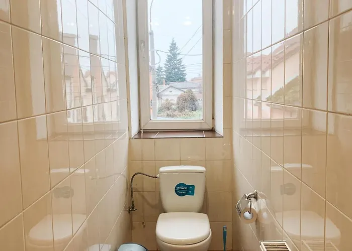 Domovik On Beregovskaya 3 * Munkács