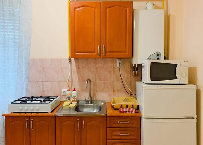 Domovik On Beregovskaya 3 Apartman Munkács