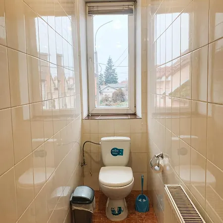 Domovik On Beregovskaya 3 * Mukačevo